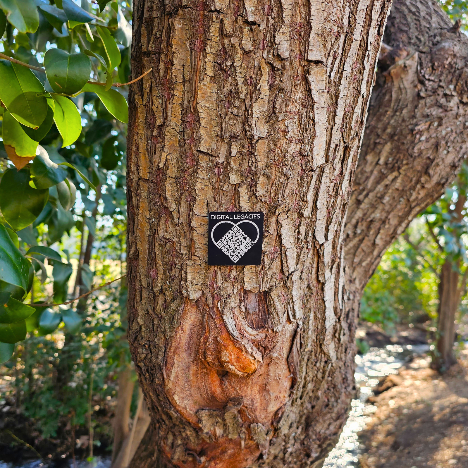 Digital Legacies Plaques - Pets - Image 5