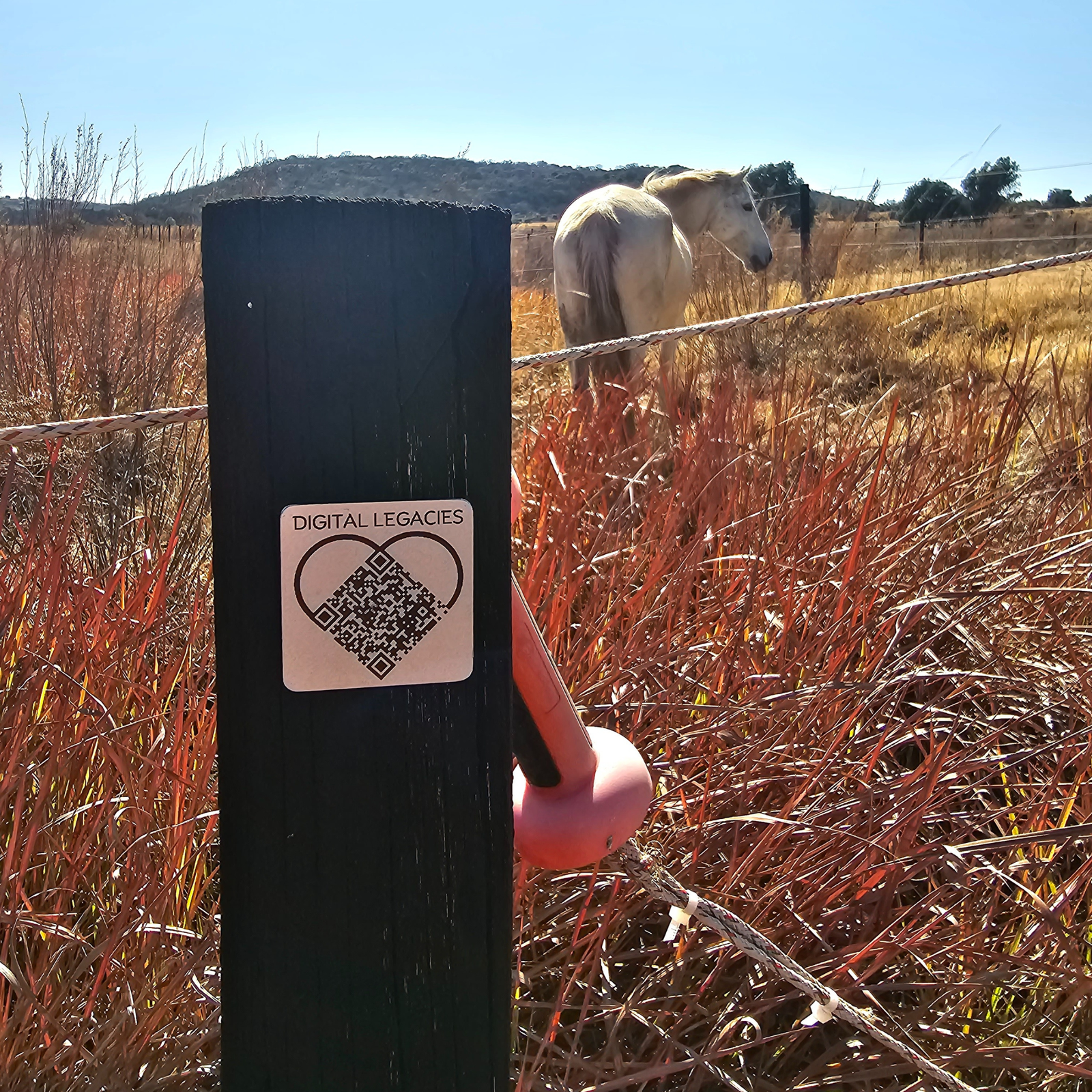 Pets Digital Legacies Plaque - Image 5