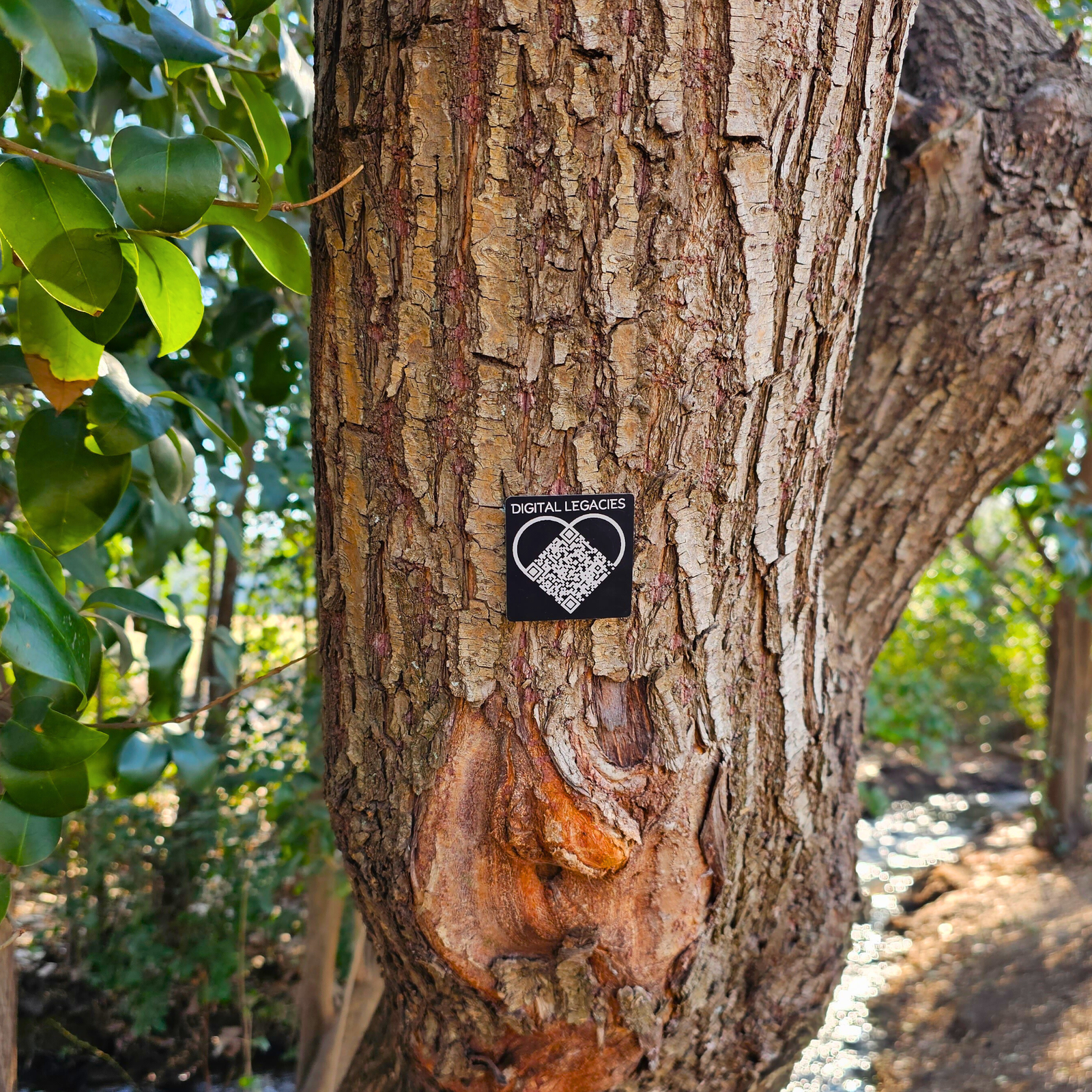 Digital Legacies Plaque - Image 6